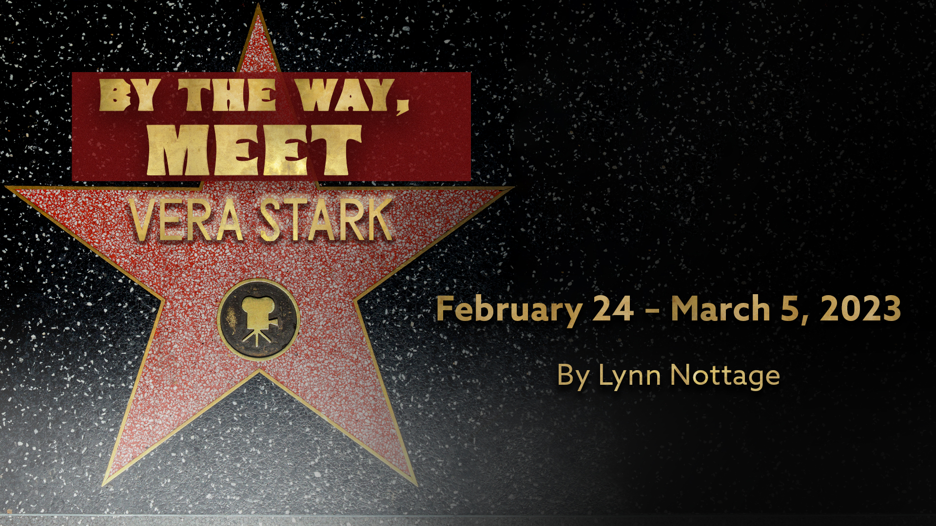 Show Details: By The Way, Meet Vera Stark: February 24 - March 5, 2023. By Lynn Nottage Starring Joanie Anderson